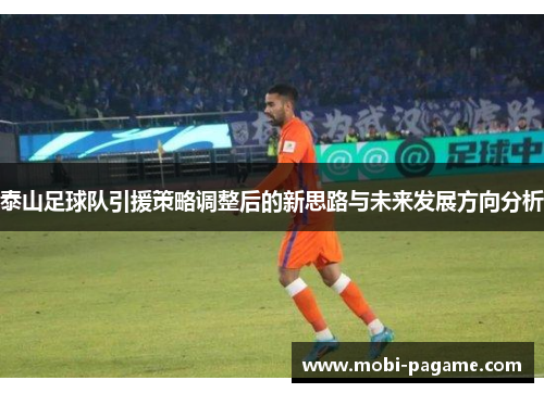 泰山足球队引援策略调整后的新思路与未来发展方向分析