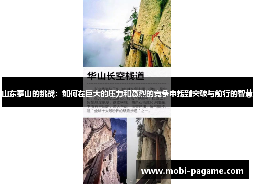 山东泰山的挑战：如何在巨大的压力和激烈的竞争中找到突破与前行的智慧