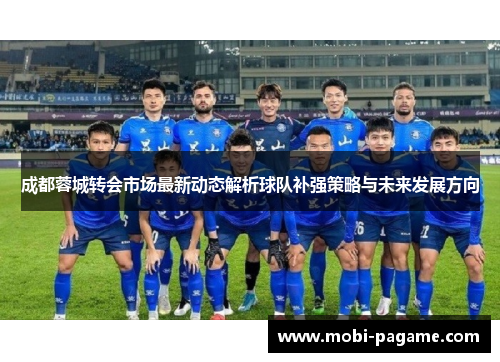 成都蓉城转会市场最新动态解析球队补强策略与未来发展方向