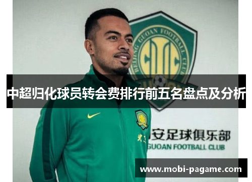 中超归化球员转会费排行前五名盘点及分析