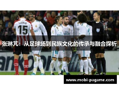 张琳芃：从足球场到民族文化的传承与融合探析