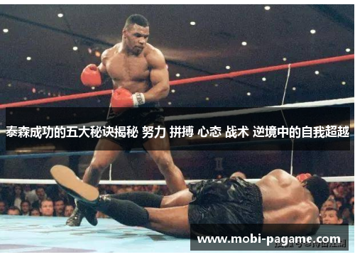 泰森成功的五大秘诀揭秘 努力 拼搏 心态 战术 逆境中的自我超越