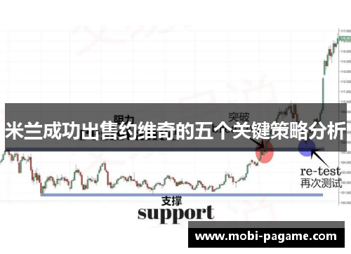 米兰成功出售约维奇的五个关键策略分析 米兰成功出售约维奇的五个关键策略分析