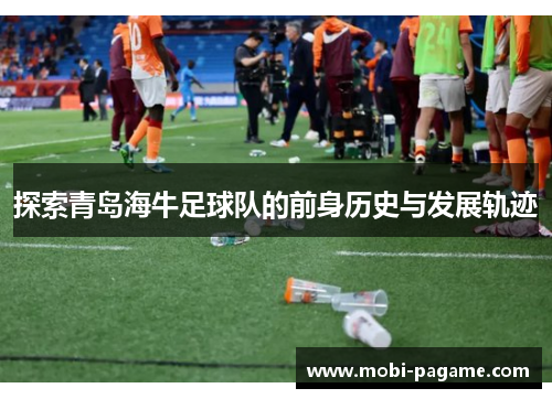 探索青岛海牛足球队的前身历史与发展轨迹