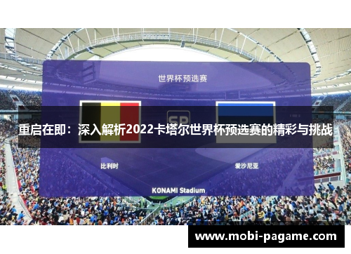 重启在即：深入解析2022卡塔尔世界杯预选赛的精彩与挑战