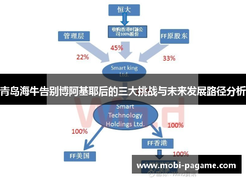 青岛海牛告别博阿基耶后的三大挑战与未来发展路径分析