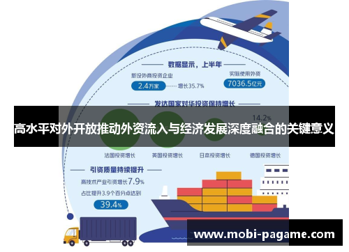 高水平对外开放推动外资流入与经济发展深度融合的关键意义