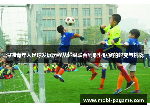 深圳青年人足球发展历程从超级联赛到职业联赛的蜕变与挑战