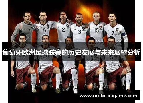 葡萄牙欧洲足球联赛的历史发展与未来展望分析